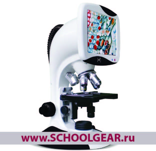 Цифровые микроскопы