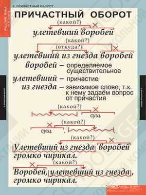 Фотография Таблицы демонстрационные "Русский язык 7 класс"