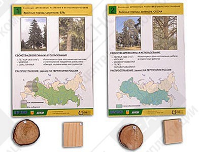 Коллекция "Древесные растения и их распространение" (демонстрационная)
