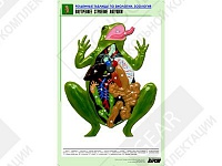 Рельефная таблица "Внутреннее строение лягушки" Рельефная таблица "Внутреннее строение лягушки"