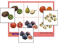 Лото ''Фрукты, ягоды, орехи'' (4 планшета, 24 карт., цвет., ламинир.)