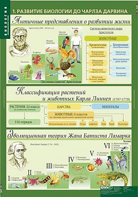 Таблицы демонстрационные "Биология. 10-11 классы. Эволюционное учение"