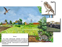 Магнитный плакат-аппликация ''Поле: биоразнообразие и взаимосвязи в сообществе''
