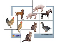 Лото ''Домашние животные'' (4 планшета, 24 карт., цвет., ламинир.)