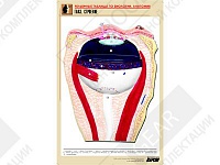 Рельефная таблица "Глаз. Строение" Рельефная таблица "Глаз. Строение"