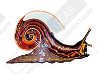 Барельефная модель Строение брюхоногого моллюска Барельефная модель Строение брюхоногого моллюска