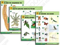 Комплект таблиц по биологии демонстрационный "Зоология 1" (14 таблиц)