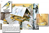 Магнитный плакат-аппликация ''Биоразнообразие и экологические группы. Птицы зимой''