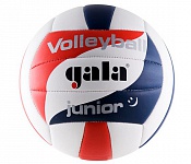 Мяч волейбольный Gala